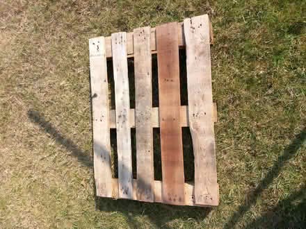 Photo of free Small wooden pallet (Odd Down) #1
