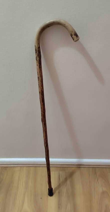 Photo of free Walking stick (DE24) #1