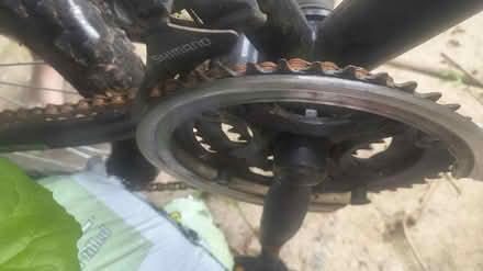 Photo of free Muddyfox Men's Bike (Everton Park L6) #4