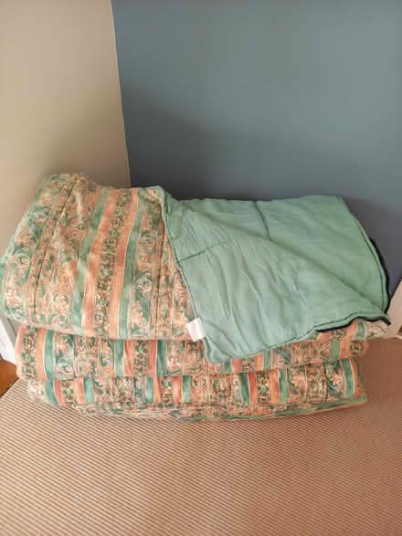 Photo of free 4 Sleeping bags (Burnham near Tesco) #1