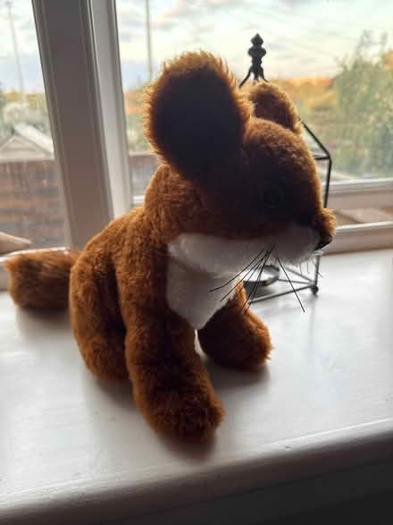 Photo of free Soft toys (Drylaw EH4) #1