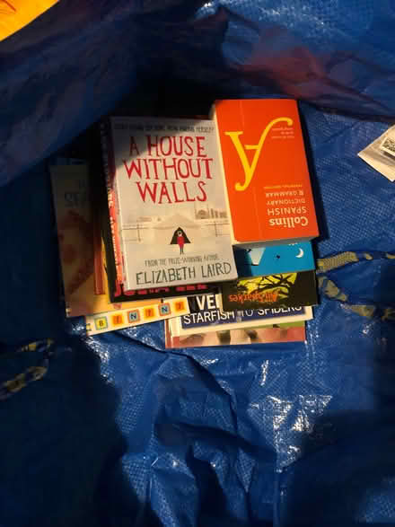 Photo of free Children’s books (Bear Flat) #1