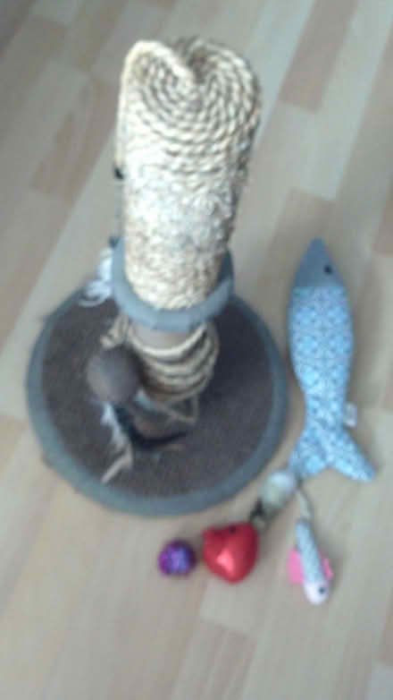 Photo of free Used cat scratching post/toys (SW15 Roehampton) #1