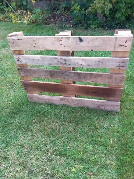 Photo of free Small wooden pallet (Odd Down) #4