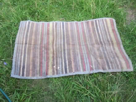 Photo of free Turtle Mat (North Sheen TW9) #1