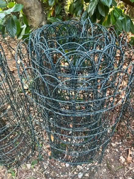 Photo of free Rolls of green metal garden fence (Henley-on-Thames RG9) #3