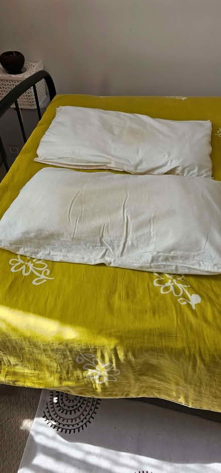 Photo of free Two Pillows (Beswick M11) #1