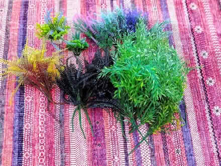 Photo of free Outdoor artificial plants (Stirling FK8) #1