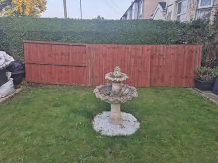 Photo of free 4x wood fence panels (CH65) #1