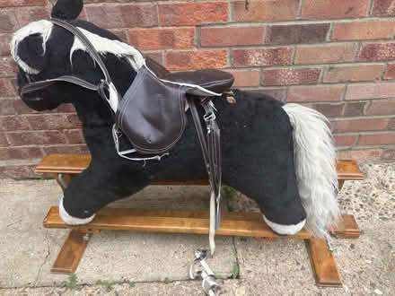 Photo of free Rockimg Horse (Fakenham NR21) #1