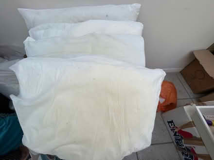 Photo of free 4 pillows and 3 cushions (Ladybridge) #1