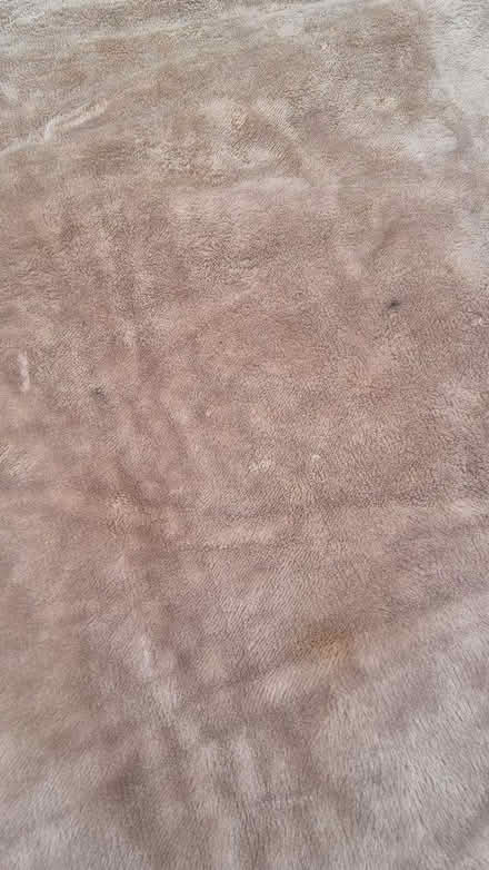 Photo of free Rug (Abington) #2