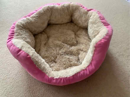 Photo of free Cat bed (Highway SL6) #1
