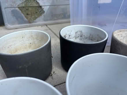 Photo of free Plant pots (Thatto heath) #4