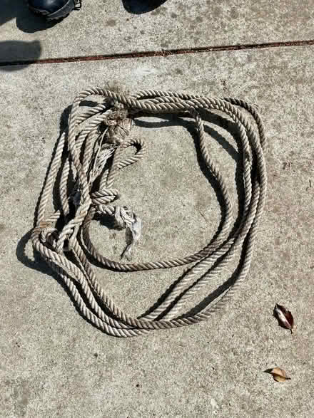 Photo of free sturdy rope (El Camino/shoreline/Miramonte) #1