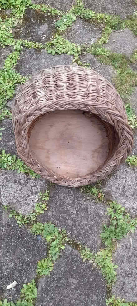 Photo of free Hooded cat or small dog basket (Dutton WA4) #1