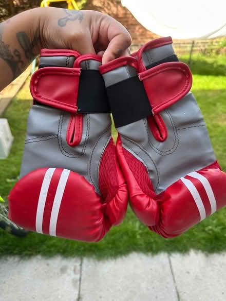 Photo of free Kids boxing gloves (Brixton) #2