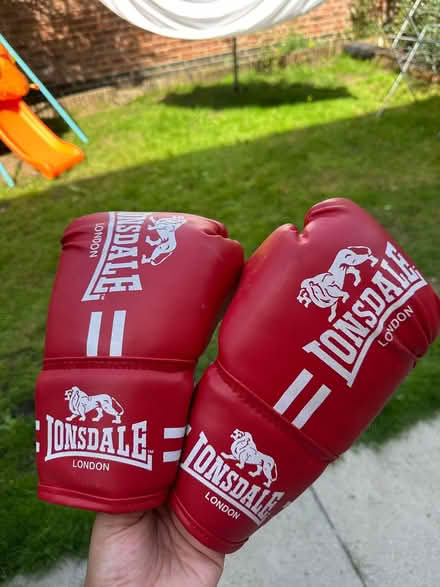 Photo of free Kids boxing gloves (Brixton) #1