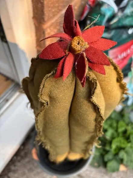 Photo of free Hand made Sewn Cactus (BA5) #2