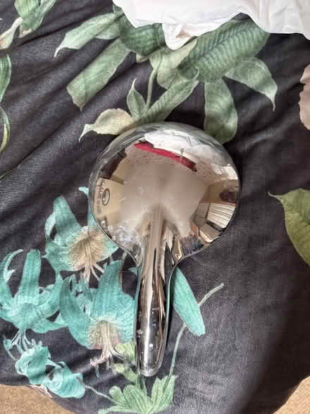 Photo of free Large shower head (GL4) #2