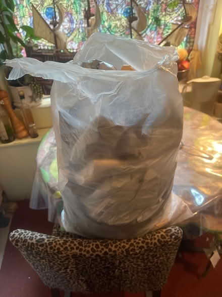 Photo of free Postal plastic bags and Jiffy bags/envelopes (Chalk Farm NW1) #1