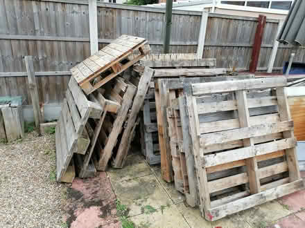 Photo of free Pallets (Derby chaddesden) #4