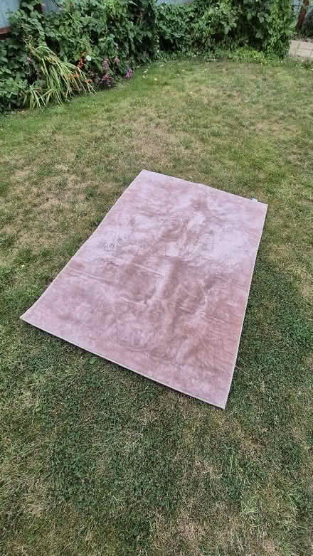 Photo of free Rug (Abington) #1