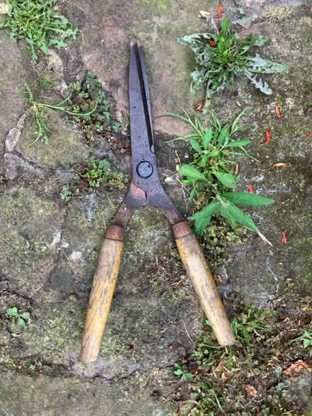 Photo of free Garden shears (Woolton L25) #1