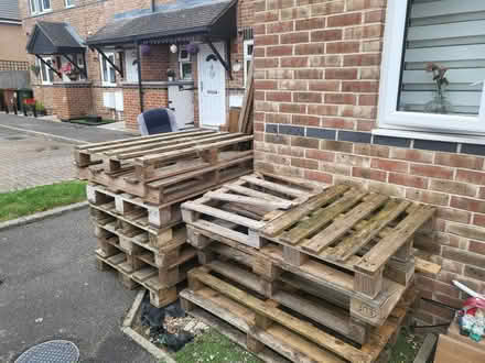 Photo of free Pallets (SM6) #1