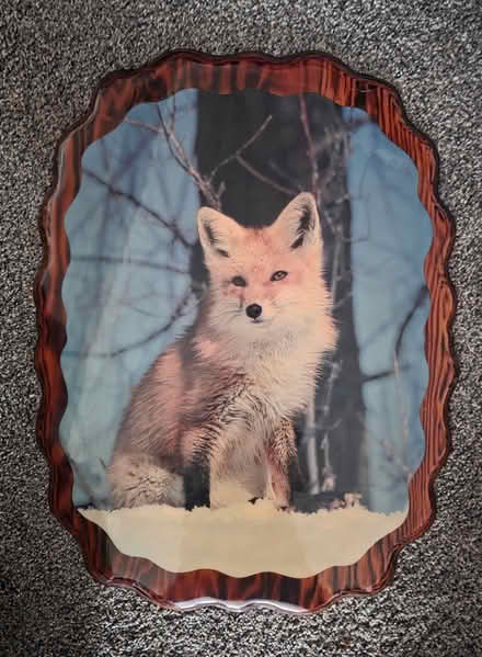 Photo of free Nice Fox picture on solid wood (Wayne btw Cherry Hill & Palmer) #1