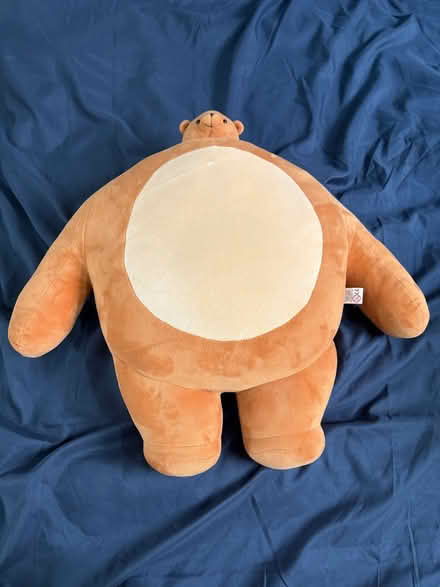 Photo of free Tiny headed kingdom bear “Pip” (Hackbridge SM5) #2