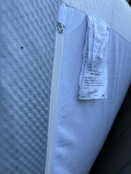 Photo of free Queen foam mattress, zippered cover (Valencia Avenue, Sunnyvale) #3