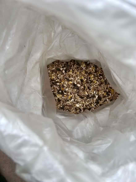 Photo of free Used but great condition No Wheat Wild Bird Seed Mix (Surbiton KT1) #1