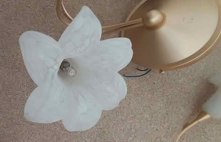 Photo of free Ceiling & wall lights (Prince of Wales Steps TQ1) #3