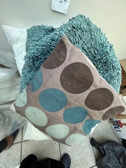 Photo of free 4 pillows and 3 cushions (Ladybridge) #2