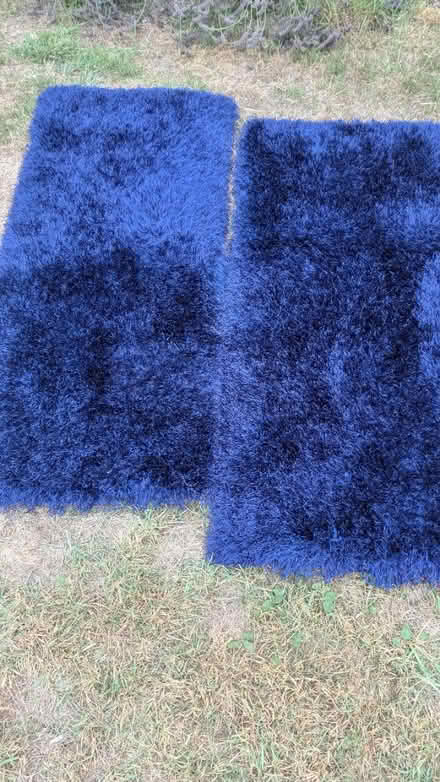 Photo of free Blue rugs (RG24 Old Basing) #3