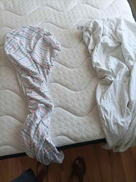 Photo of free Cot bed (Bishop's Tachbrook CV33) #2