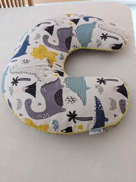 Photo of free Feeding Pillow (Ditchling Common BN6) #2