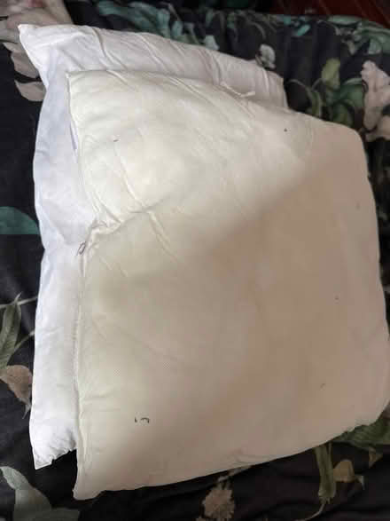 Photo of free 2 cushions (GL4) #1
