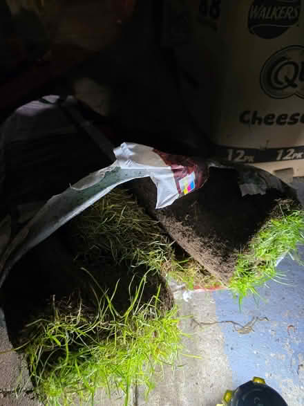 Photo of free Grass mats S10 (S10 Endcliffe Vale) #1