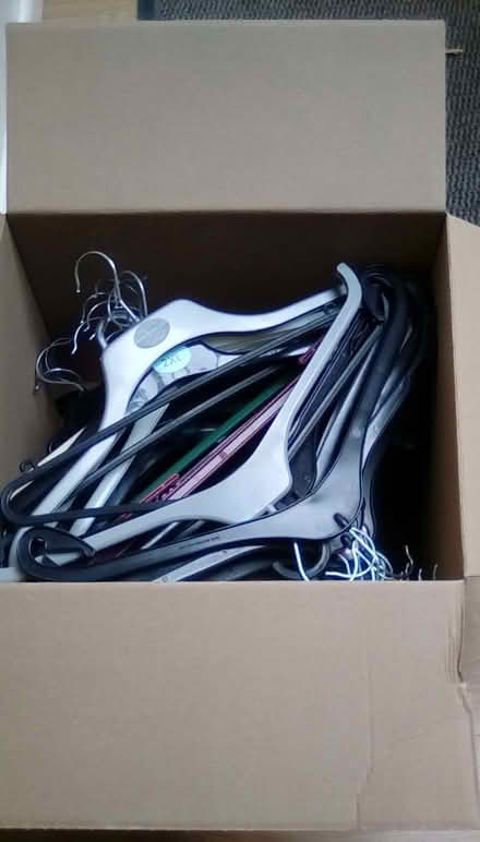 Photo of free Coat hangers (Priorslee TF2) #1