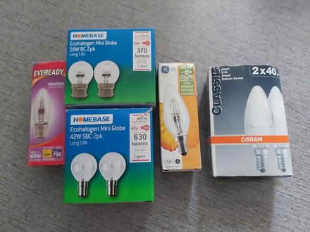 Photo of free Assorted bulbs (Falkland KY15) #1
