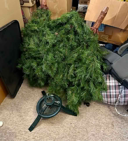 Photo of free Christmas tree 7ft (Bletchley MK3) #2