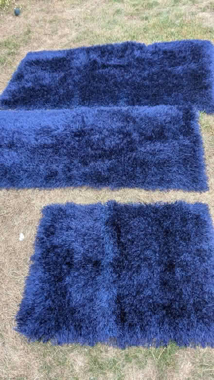Photo of free Blue rugs (RG24 Old Basing) #1