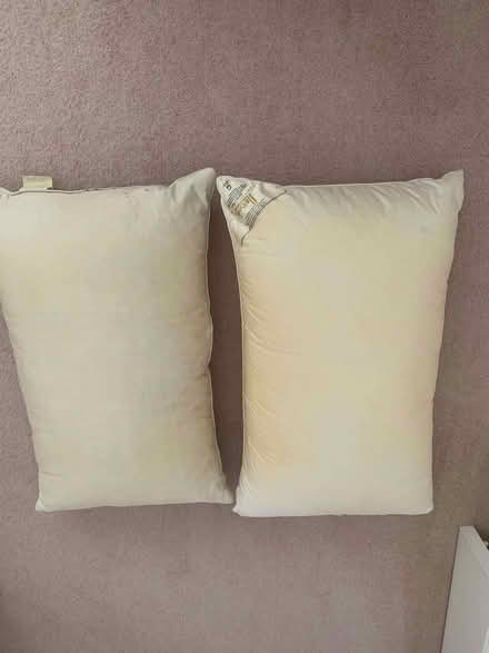 Photo of free Pillows (Chalfont St Giles HP8) #1