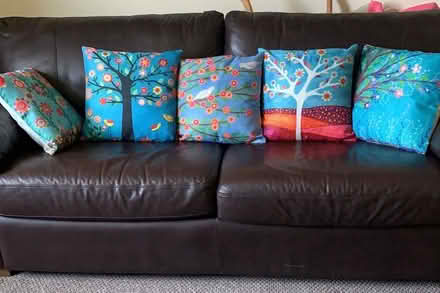 Photo of free Dark brown leather Sofabed (Saint Fagans CF5) #2