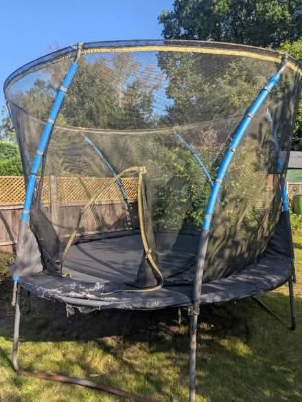 Photo of free Large trampoline (Brookwood) #3