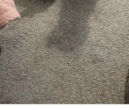 Photo of free Used grey fleck carpet 13’x11’ approximately (Oxford OX4) #1