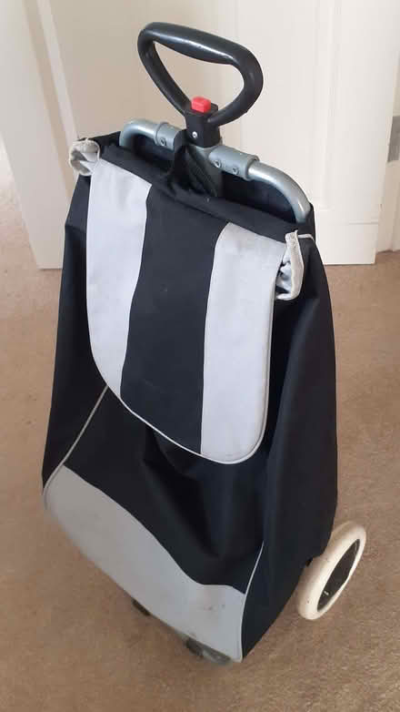 Photo of free shopping wheelie trolley (Prince of Wales Steps TQ1) #1