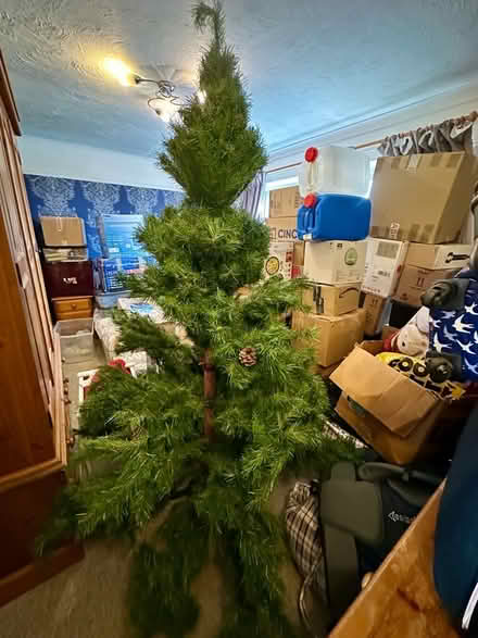 Photo of free Christmas tree 7ft (Bletchley MK3) #1